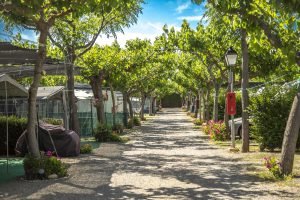 Uitzicht op een accommodatie vlakbij zee in Torredembarra met een promenade, vegetatie en een gezellige, familiale sfeer.